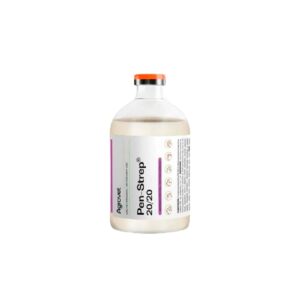 ANTIBIÓTICO PARA PERROS, GATOS Y ANIMALES DE PRODUCCIÓN PEN-STREP - FRASCO x 50 ML