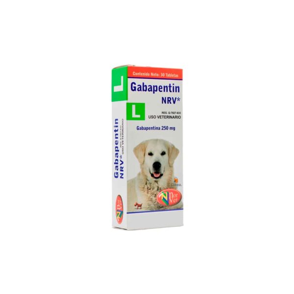 GABAPENTIN L 250 MG - CAJA X 30 TABS