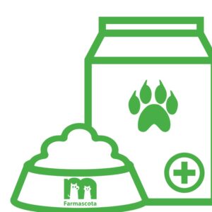 Alimento seco para gato