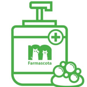 Shampoo y acondicionadores para gato