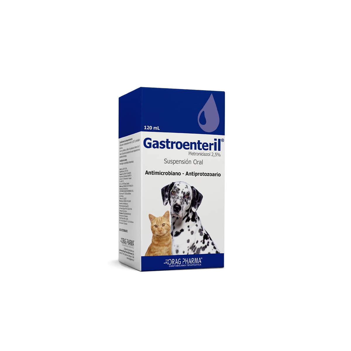 GASTROENTERIL